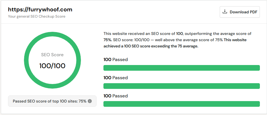 SEO audit score 100/100 with all checks passed after optimization